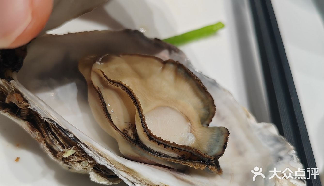 吃货日记：今天尝鲜生蚝