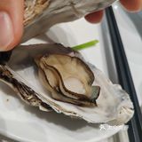 吃货日记：今天尝鲜生蚝
