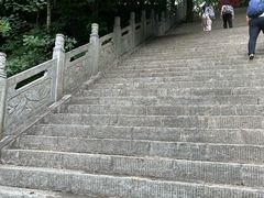 -牛背梁国家森林公园