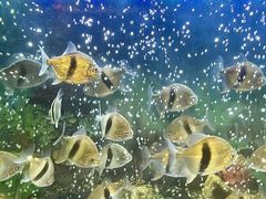 -大明湖海底世界