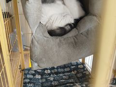 -青春加萌照相馆