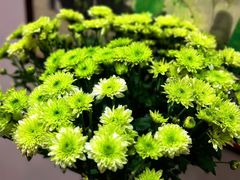 -首都医科大学附属北京潞河医院