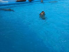 游乐设施-上海海昌海洋公园