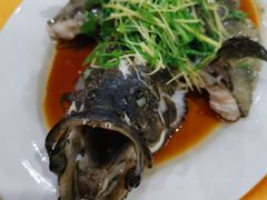 -蚝专家(北滘店)