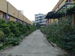 -沙龙酒家