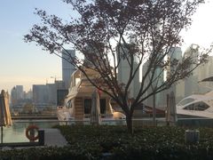 -北外滩百艇汇游艇俱乐部