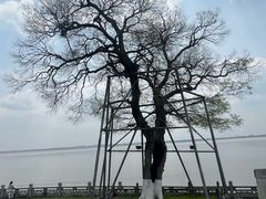 -观潮胜地公园