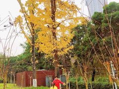 -沙河三洞古桥公园