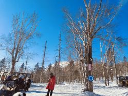 -大秃顶子山(雪谷店)