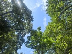 -昆山城市生态森林公园