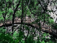 -大岭沟猕猴桃谷风景区