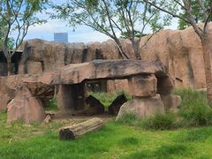-武汉动物园
