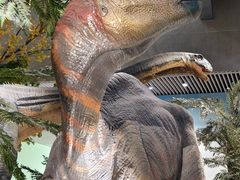 -湖南省地质博物馆