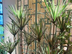 -野妹经典火锅(民治店)