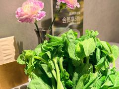 -鼎鼎香·港式火锅(北京SKP店)