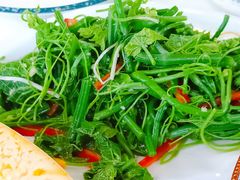 凉拌丝瓜尖-帕米尔食府(白云观店)