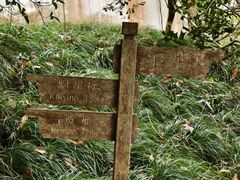 -梦姑塘文化公园