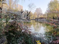 -西安市长乐公园