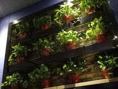 -舒心阁养生堂采耳(中山北路店)
