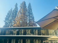 -一尺花园(安和花园店)