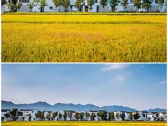 -东梓关景区村庄