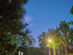 -东郊湿地公园