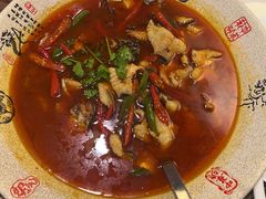 -陈麻婆豆腐总店