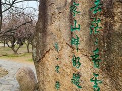 -香雪海