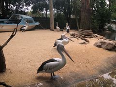 -费瑟代尔野生动物园