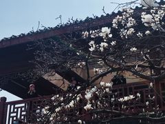 -堤角公园