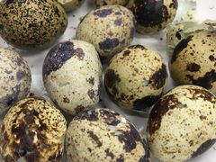 -潘苏凉茶馆(康之宝超级广场店)