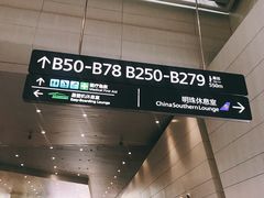 -广州白云国际机场-T2航站楼