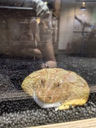 -Zoolung Zoolung动物主题公园(海信广场店)