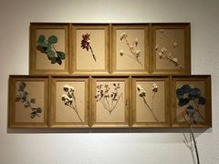 -麓椿花园西餐厅(海乐世界店)