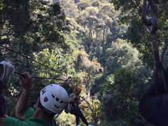 -清迈丛林飞跃 JungleFlight