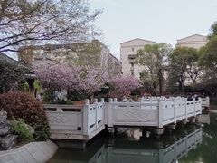 -绳金塔