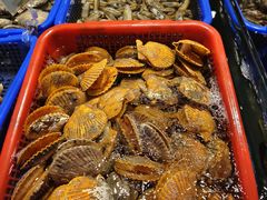 -新金盛·海鲜酒楼(盐田店)