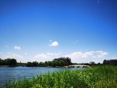 -大兴滨河森林公园