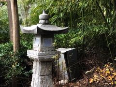 -楼观道温泉酒店