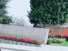 -铁山坪森林公园