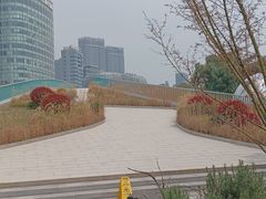 -北外滩滨江绿地