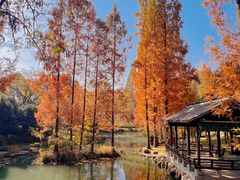 -兰亭风景区