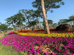 -芒洲湿地公园