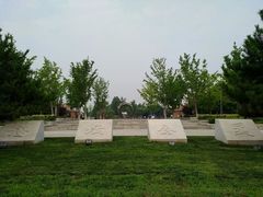 -大兴滨河森林公园