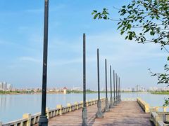 -九龙湖公园
