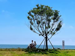 -巧克力渔家.小船海鲜家常菜(万平口店)