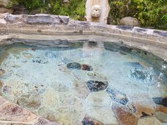 -中家鑫园温泉酒店鑫悦汤泉