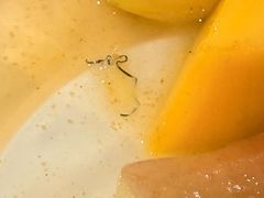 -阿群甘草水果