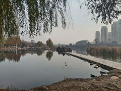 -前关湿地公园