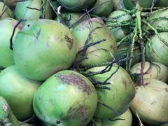 -墨脱石锅椰子鸡•香草鸭•东山羊(大东海店)